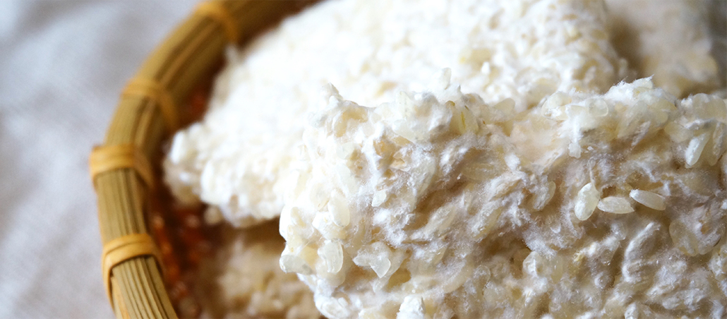 塩麹作り体験もやっております。島の食材で作る万能調味料の美味しさを、一緒に楽しみませんか。